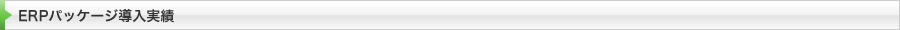 ERPパッケージ導入実績