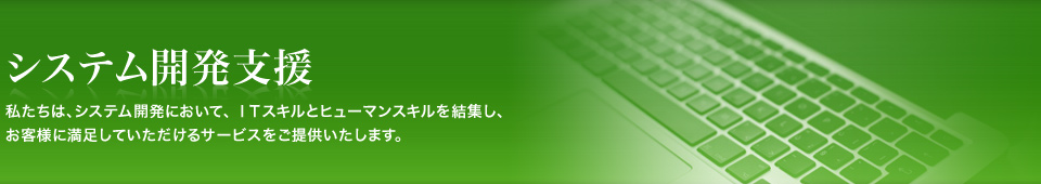 システム開発支援