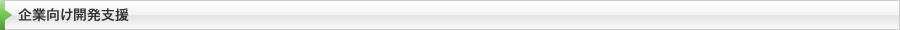 企業向け開発支援